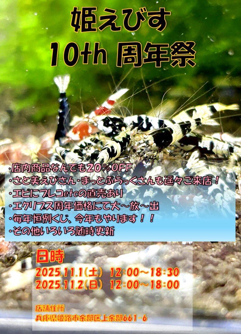 ☆11月1日2日は姫えびす周年祭☆