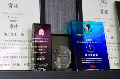 画像1: SAMURAI BLUE ちびサムライ5匹セット　証明書カード付